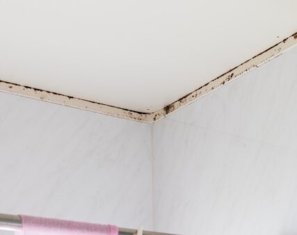 梅雨でもカビ知らず！浴室・洗面所の防カビコーティングで清潔が続く住まいへ