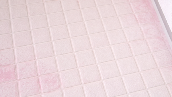 ピンク汚れは「掃除不足」ではないという事実