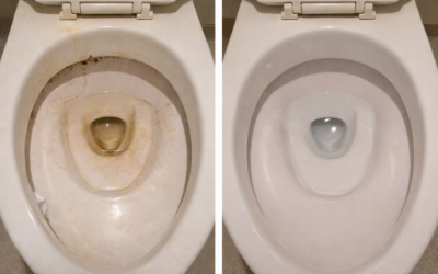 トイレのこびりつき汚れ、なぜ落ちない？毎日の掃除がラクになる“コーティングという最終対策”