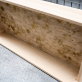 木材のカビが何度も出る原因と黒カビ・白カビを防ぐ現実的な対策とは!?【九州エリア】