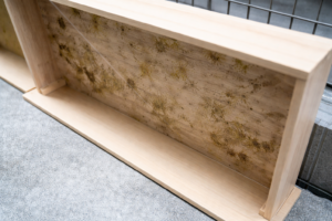 木材のカビが何度も出る原因と黒カビ・白カビを防ぐ現実的な対策とは!?【九州エリア】