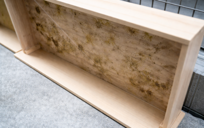 木材のカビが何度も出る原因と黒カビ・白カビを防ぐ現実的な対策とは!?【九州エリア】