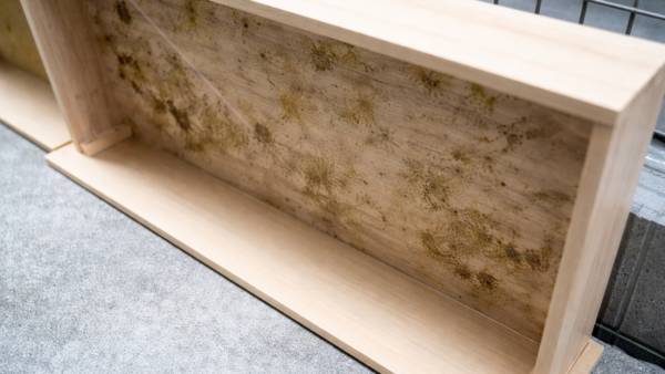 冬の木材に注意！カビが生えたときの正しい対処法と予防策