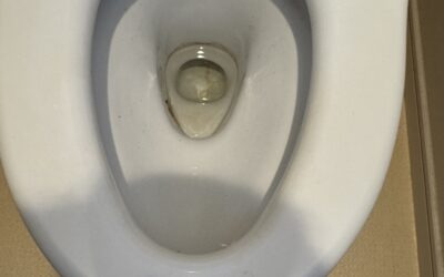 冬でもトイレを清潔に保つ！便器コーティング剤の活用法