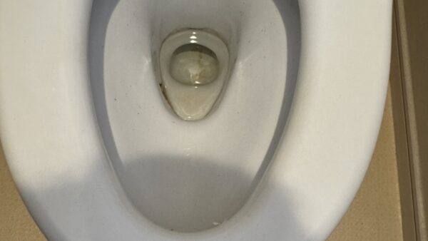 冬こそ考えたい、トイレの“きれいが続く”習慣