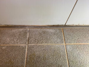 もう床をこすらない。白い汚れに悩まない浴室へ