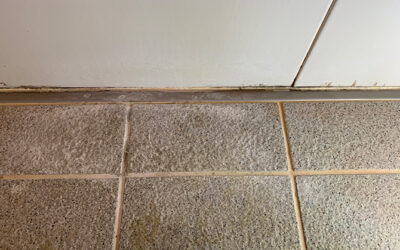 もう床をこすらない。白い汚れに悩まない浴室へ