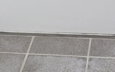 広島でも増えてます。浴室床の白い汚れを防ぐという選択