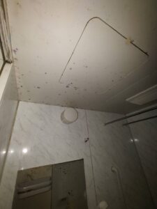 お風呂の天井にカビが生える原因と正しい清掃方法｜再発させないために知っておきたいポイント【愛知常滑店】