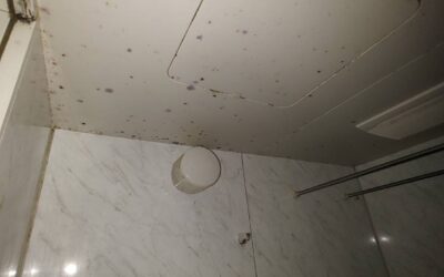 お風呂の天井にカビが生える原因と正しい清掃方法｜再発させないために知っておきたいポイント【愛知常滑店】
