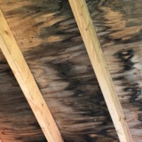 木材のカビ除去は初期対応が重要｜原因・正しい除去方法と再発防止策を専門解説【愛知常滑店】