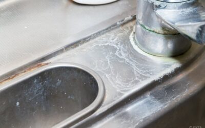 水垢はなぜ“ガチガチ”になるのか