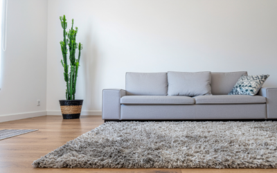 広島の戸建てでコーティングが増えている理由