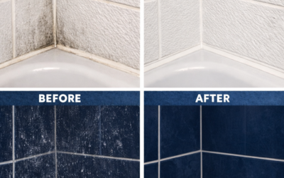 浴室の壁にカビが繰り返し出る理由と掃除をラクにする現実的な対策【九州エリア】