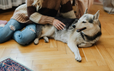 滑る床が、ペットのケガの原因になることも