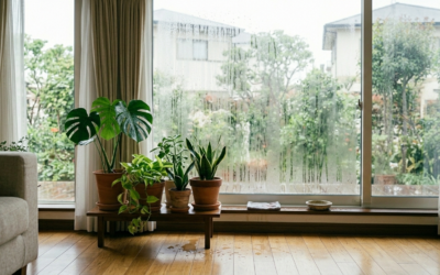 雪・結露・寒暖差から家を守る！札幌流リビング再生術