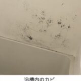 【お風呂のカビを減らしたい！】繰り返すカビをきれいにして長持ち