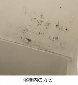 【お風呂のカビを減らしたい!】繰り返すカビをきれいにして長持ち