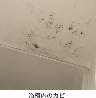 【お風呂のカビを減らしたい！】繰り返すカビをきれいにして長持ち