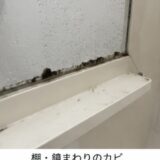 【広島でカビに悩んでいる方へ】