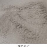お風呂のカビが落ちない！繰り返すカビの原因とカビ対策
