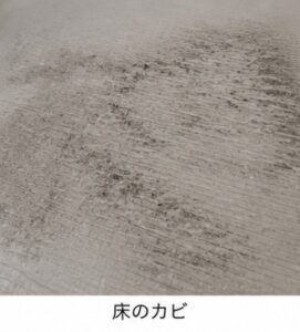 お風呂のカビが落ちない!繰り返すカビの原因とカビ対策