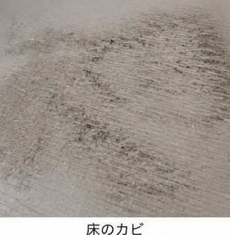 お風呂のカビが落ちない！繰り返すカビの原因とカビ対策