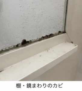 【広島でカビに悩んでいる方へ】
