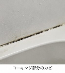 【カビが何度掃除しても出てくる原因は?】