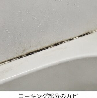 【カビが何度掃除しても出てくる原因は？】