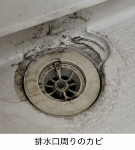 【毎日掃除しているのにカビが生える?】