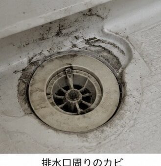 【毎日掃除しているのにカビが生える？】