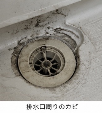 【毎日掃除しているのにカビが生える?】