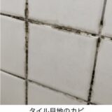【岡山 カビで悩んでいるあなたへ】落ちないカビを何とかしたい！