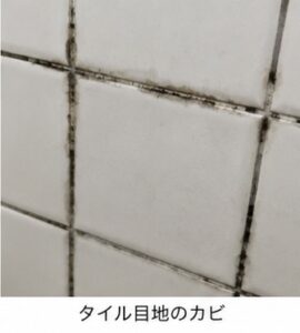 【岡山 カビで悩んでいるあなたへ】落ちないカビを何とかしたい!