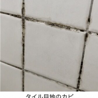 【岡山 カビで悩んでいるあなたへ】落ちないカビを何とかしたい！