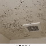 繰り返すカビ・黒カビ・落ちないカビを徹底対策