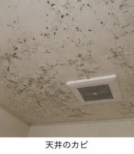繰り返すカビ・黒カビ・落ちないカビを徹底対策