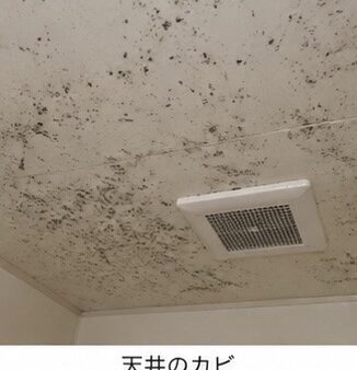 繰り返すカビ・黒カビ・落ちないカビを徹底対策