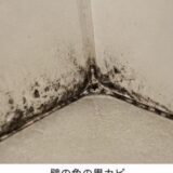 気づいたらカビだらけ？お風呂のカビ・黒カビを徹底対策