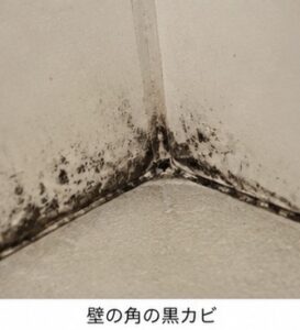 【岡山のお風呂カビ対策】浴室のカビが落ちない・黒カビが繰り返すなら