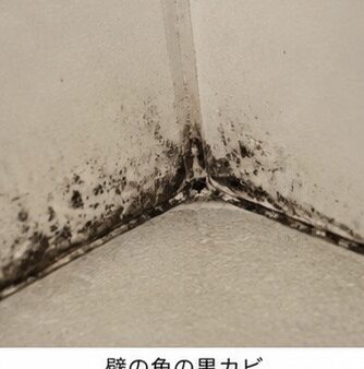 【広島でカビにお悩みの方へ】