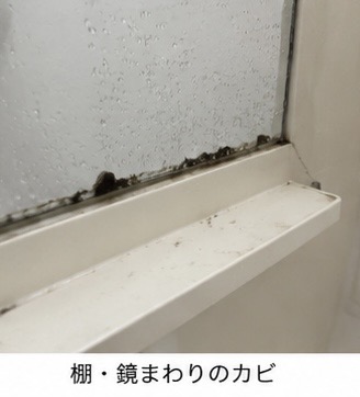 【広島でカビに悩んでいる方へ】